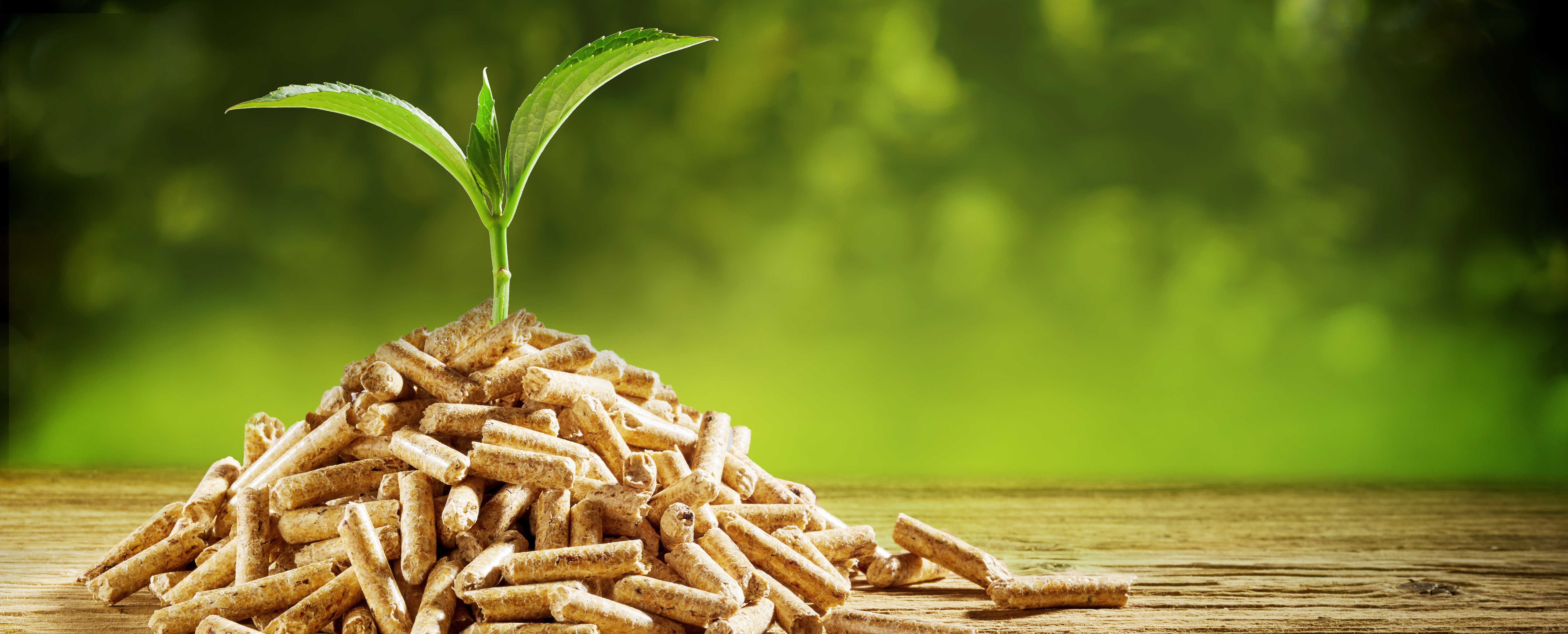 Erneuerbare Energien